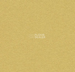 Линолеум Forbo Bulletin Board 2212 fresh pineapple фото 1 | FLOORDEALER